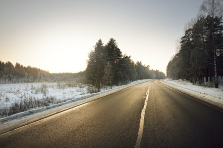 A clean empty asphalt country road through the coniferous forest at sunset. Pine and spruce trees after a blizzard. Winter driving. Latviaの写真素材