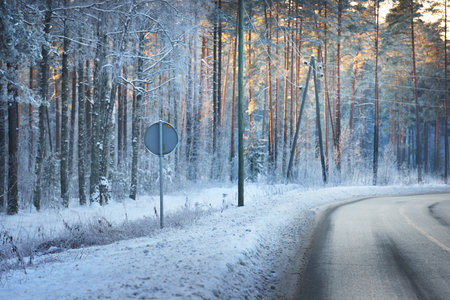 An empty snow-covered asphalt country road through the pine tree forest at sunset. Road sign close-up. Sunlight through the trees. Winter driving. Latviaの写真素材