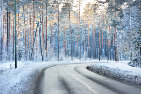 An empty snow-covered asphalt country road through the pine tree forest at sunset. Sunlight through the trees. Winter driving. Latviaの写真素材