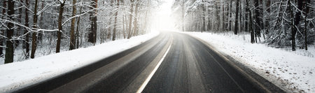 Snow-covered empty S shape winding highway (asphalt road) after cleaning. Alley of deciduous trees in a hoarfrost. Winter wonderland. Christmas vacations, travel, dangerous driving. Panoramic viewの写真素材
