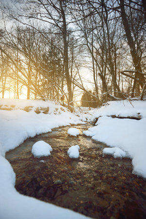 A small forest river with crystal clear water near the snow-covered Baltic sea coast at sunset. Warm evening sunlight through the tree trunks. Idyllic winter scene. Kaltene, Latviaの写真素材