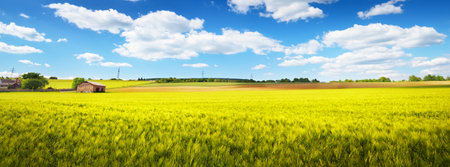 Picturesque panoramic view of the countryside agricultural field. Idyllic rural scene. Platz, Germany. Ecology. alternative production, farm, food industry, environmental damage and conservationの写真素材