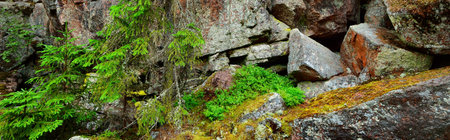 Granite rocks and canyons in Finland, texture close-up. Picturesque panoramic scenery. Dark atmospheric landscape. Pure nature, ecology, environmental conservation, eco tourism, travel destinationsの写真素材