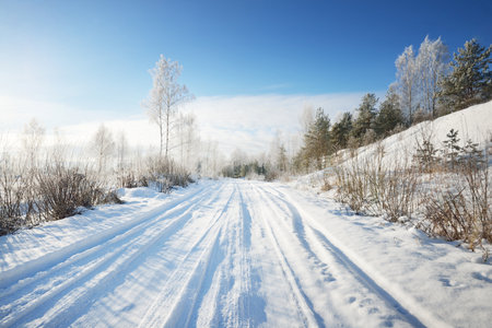 Snow-covered single lane rural road through the fields on a sunny day. Finland. Clear blue sky. Deciduous and evergreen trees in hoarfrost in the background. Idyllic winter landscapeの写真素材