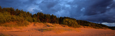 Epic dark sunset sky above the sea shore and pine forest after the storm. Dramatic glowing colorful red clouds, natural texture, background. Fickle weather, climate change, ecology. Panoramic viewの写真素材