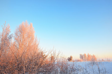 Snow-covered frozen lake at sunset, Finland. Island with birch trees in the background. Clear blue sky. Winter sport, christmas vacations, environmental conservation, global warming themeの写真素材