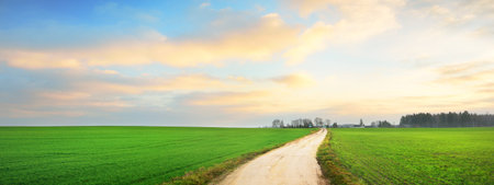 Epic colorful sky with glowing pink clouds above the rural road and green plowed agricultural field...