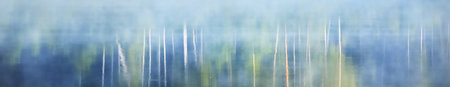 Green birch trees. Symmetry reflections in a crystal clear blue water of the forest river. Picturesque panoramic scenery. Abstract art, natural pattern, texture, background, aquarelle effectの写真素材