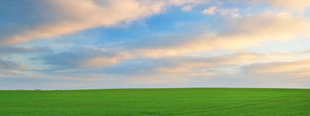 Epic colorful sky with glowing pink clouds above the green plowed agricultural field at sunrise. Idyllic summer rural scene. Lithuania. Picturesque panoramic scenery. Atmospheric landscapeの写真素材