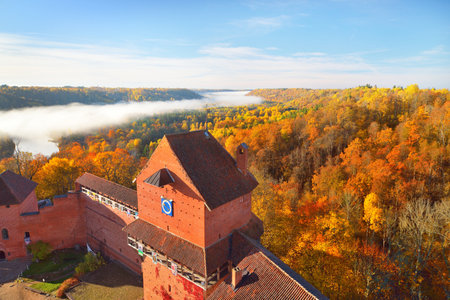 Aerial view of the Turaida castle tower in a clouds of morning fog at sunrise. Colorful red, orange and yellow trees of the autumn forest. Gauja national park, Latvia. Travel guide, sightseeingの写真素材