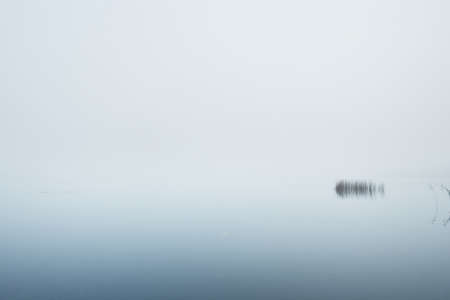 A view of the forest lake in a thick fog. Symmetry reflections on the water. Plants close-up. Misty autumn landscape. Dark fairytale. Germanyの写真素材