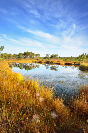 Crystal clear lake and swamp in a morning haze. Reflection on the water. Bright blue sky with cirrus...