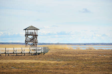 A wooden pathway to the bird watching tower on the lake on a sunny spring day, Netherlands. Shallow water. Clear blue sky with cirrus clouds. Environmental conservation themeの写真素材