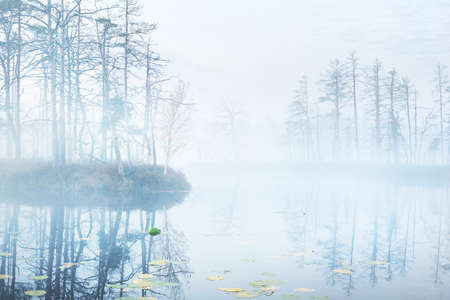 Ð¡rystal clear lake (bog) in a fog at sunrise. Symmetry reflections on the water, natural mirror, dark tree silhouettes. Epic cloudscape. Idyllic autumn scene. Concept art, fantasy, fairy taleの写真素材