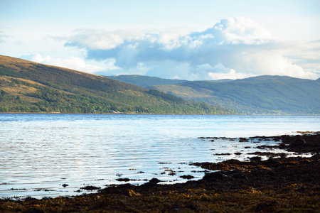 A view of the shores, forests and hills near the Loch Fyne on a cloudy day. Inveraray, Inner Hebrides, Argyll and Bute, Scotland, UKの写真素材