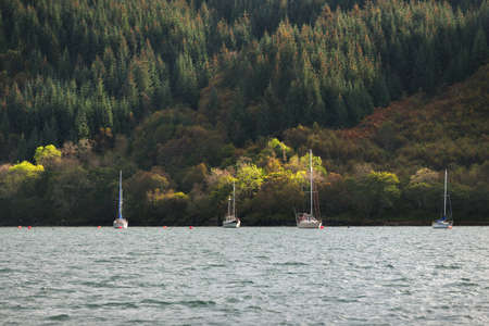 Sloop rigged yachts anchored on mooring near the rocky shore of Crinan canal. Coniferous forest in...