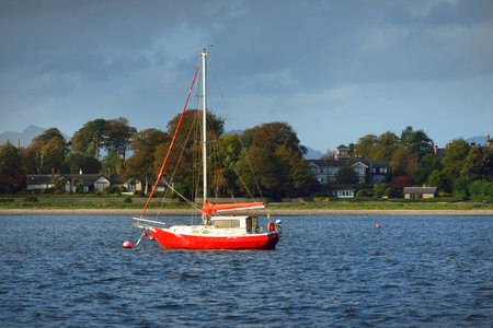 Sloop rigged yacht sailing on a sunny day. Rocky shores with hills, forests and country houses in the background. Rhu marina, Firth of Clyde, Scotland, UKの写真素材