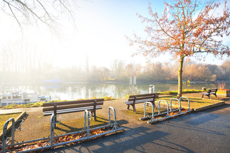 An empty alley through the park near Rhine river, l trees and benches close-up. No people because of...