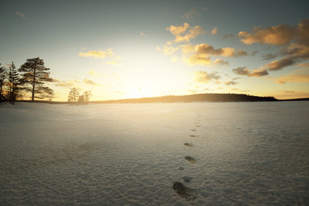 Frozen lake and pine forest at sunset. Ice texture. Dramatic sky, golden clouds. Winter wonderland. Nature, ecology, climate change, ecotourism, Christmas. Human tracks in a fresh snowの写真素材