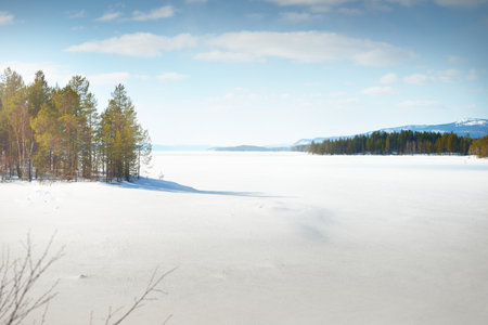 Young pine trees and a frozen lake after a blizzard on a clear day. Mountain peaks in the background. Idyllic winter landscape. Ecology, environment, climate change. Kola Peninsula, Karelia, Russiaの写真素材