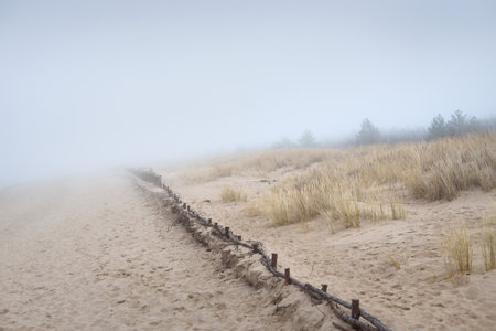 Sandy shore of the Baltic sea in a thick white morning fog. Early spring in Latvia. Idyllic rural scene. Nordic walking, recreation, eco tourism, environmental conservation conceptsの写真素材