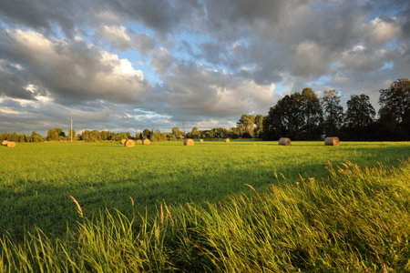 Green field and forest after the rain. Haystacks close-up. Dramatic sunset sky, epic cloudscape. Fickle weather. Latvia. Cyclone, storm, meteorology, ecology, climate change, natural phenomenonの写真素材