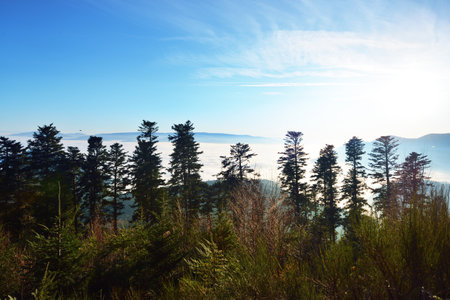 Evening fog. Beautiful aerial view of the mountains and valleys at sunset. French Alsace, Vosges...