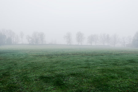 Country landscape. An empty agricultural field in a strong morning fog. Forest and houses in the...