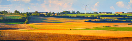 Golden plowed reaped agricultural field, wind turbines in the background. France, Europe. Panoramic aerial view. Environmental conservation, farm and food industry, ecology, alternative energyの写真素材