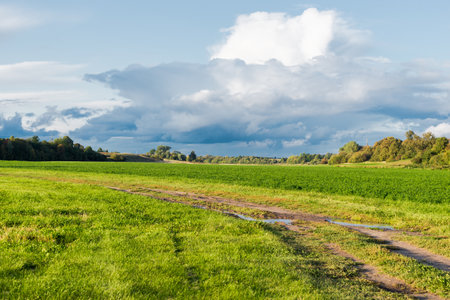 Storm clouds above the green agricultural field with a tractor tracks, forest in the background. Country autumn landscape. Latviaの写真素材