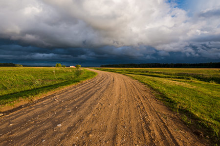 A dirt road through a green and crop agricultural fields at sunset. Dramatic evening sky after the rain. Latviaの写真素材