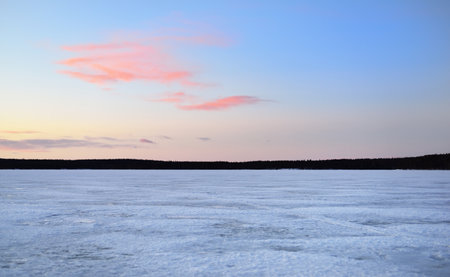 Clear sunset sky above the snow-covered frozen Kuito lake, coniferous forest in the background....