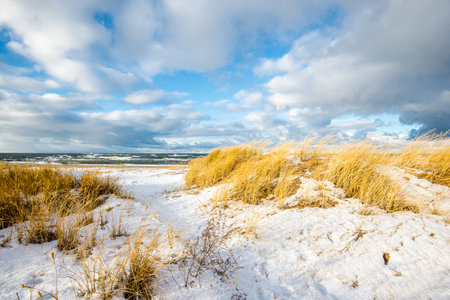 Snow-covered seacoast on a sunny winter day. Cold stormy waves and clouds over the North sea, Netherlandsの写真素材
