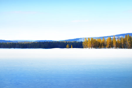Panoramic view of the frozen lake. Snow-covered mountains and coniferous forest in the background. Clear blue sky. Kola Peninsula, Murmansk region, Polar Circle, Karelia, Russiaの写真素材