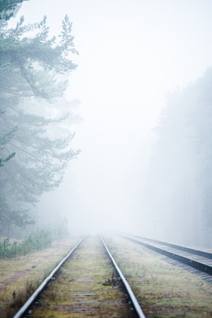 Misty railroad in the morning, pine trees in the background, Latvia