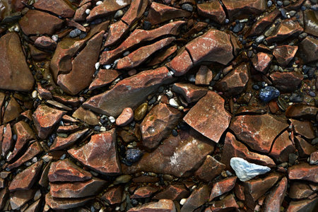 Stones and green grass, texture close-up. Baltic sea, Estonia