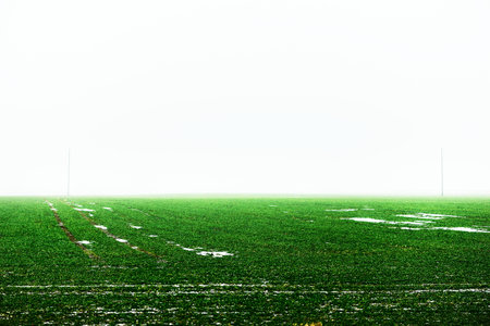 Green countryside agricultural field under the gloomy sky in a thick fog. Fresh snow on the ground. Early spring in Poland. Concept art, graphic minimalism, ecology, global warmingの写真素材