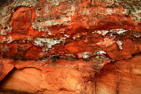 Red and orange sandstone cliffs near the frozen river, pine trees in the background. Gauja National...