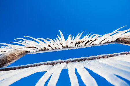 Snow-covered old rusty pier on a clear sunny day. Ice fragments close-up. Baltic Sea, Latviaの写真素材