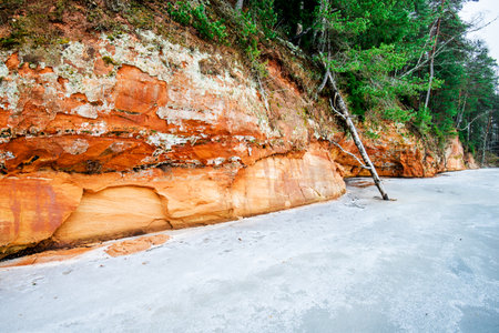 Winter forest landscape. Cliffs near the river and pine trees in the background. Gauja National Park, Latviaの写真素材