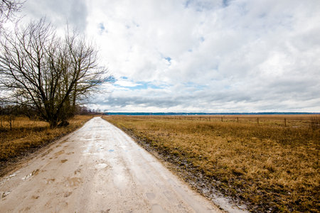 A dirt road through the country fields, forest in the background. Cloudy spring landscape, Latviaの写真素材