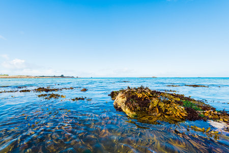 Rocky ocean coastline in Plouguerneau, Brittany, France