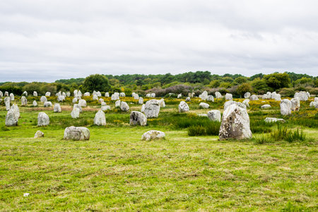 Ancient menhir granite stones in a deciduous oak forest in Carnac, Franceの写真素材