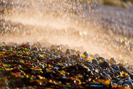 The water is flowing on the stones, close-up. Fragment of the waterfall on the cliff in Normandy, France. Golden sunset lightの写真素材