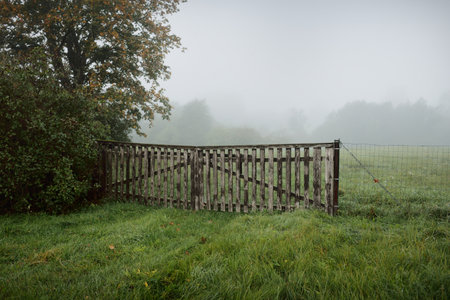 Old wooden fence between the green meadow and forest in a thick white morning fog at sunrise. Idyllic rural scene. Early autumn. Atmospheric landscapeの写真素材