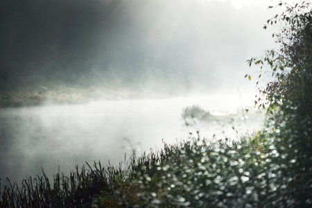 Picturesque monochrome scenery of the forest river in a thick white fog. Reflections on water. Dark...