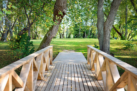 Modern wooden footpath (boardwalk) through the green deciduous forest on a clear day, colorful maple...