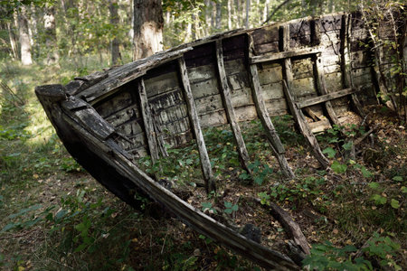 Old abandoned wooden fishing boat in the forest, close-up. Boats cemetery in Mazirbe, Livonian village, Latvia. Concept image, atmospheric landscape, travel destinations, shipwreck, past, historyの写真素材