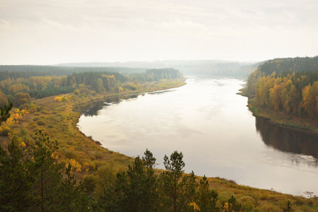 Panoramic aerial view of the majestic pine forest and bends of Daugava river in autumn. Daugavas loki nature park, Latgale, Latvia. Ecology, ecotourism, recreation, travel destinations, landmarkの写真素材