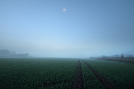 Plowed agricultural field with tractor tracks at sunrise. Moonlight, stars, fog, haze, clear blue sky. Atmospheric autumn landscape. Idyllic rural scene. Pure nature, ecology, seasons, nightの写真素材